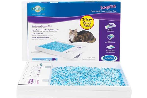The Best Cat Litter Box